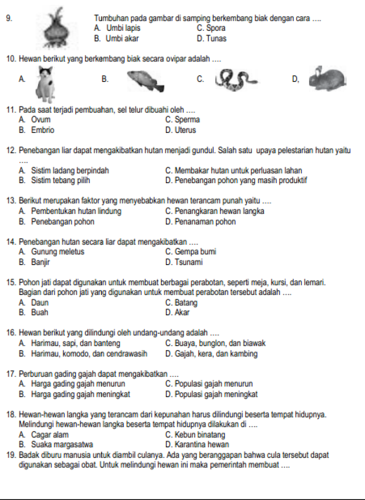7 Soal Rahasia Bank Soal IPA Kelas 6 Semester 1 dan Kunci Jawaban yang Wajib Dikuasai Sebelum Ujian