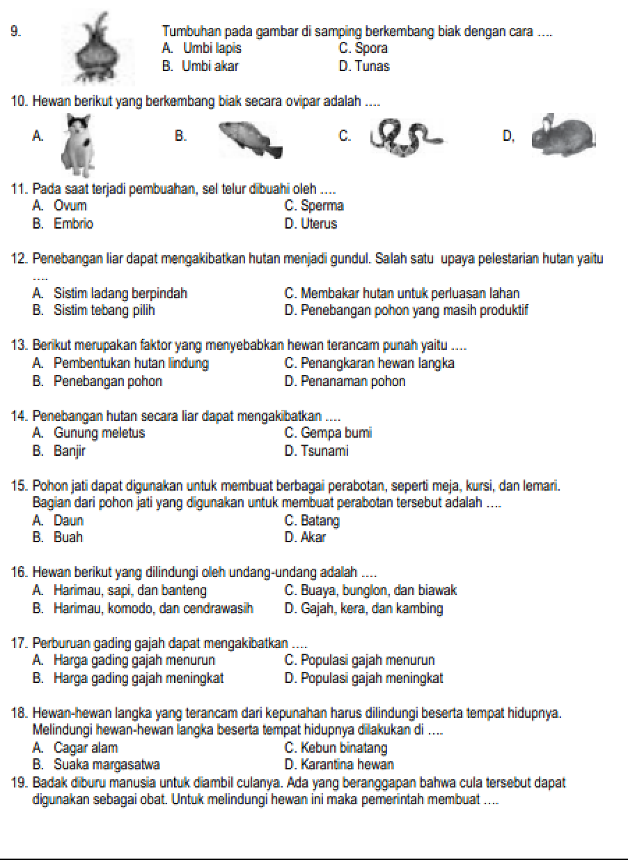 7 Soal Rahasia Bank Soal IPA Kelas 6 Semester 1 dan Kunci Jawaban yang Wajib Dikuasai Sebelum Ujian