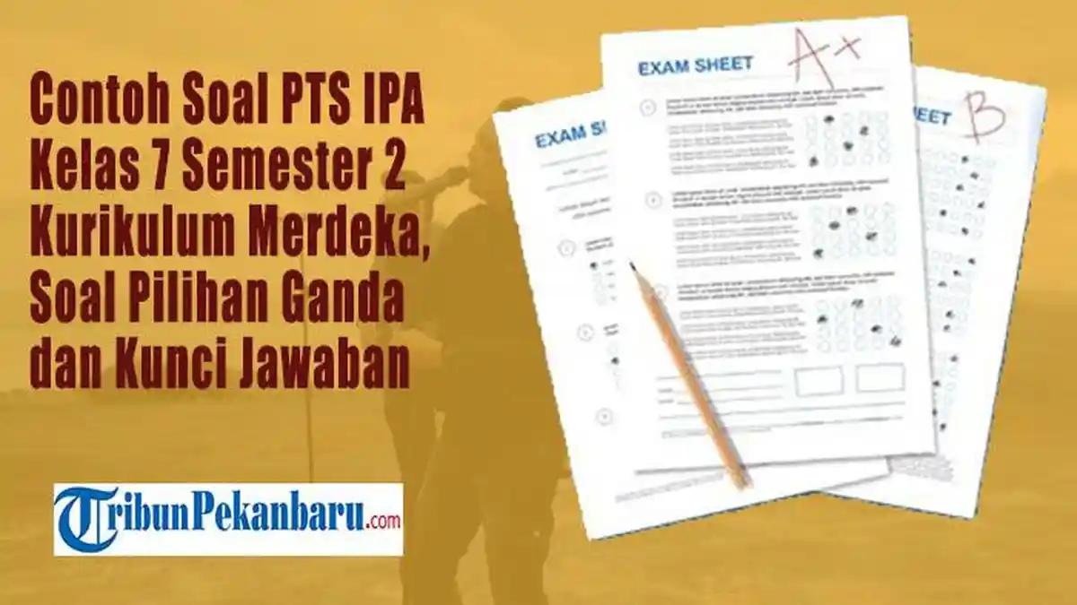 Akhirnya Terungkap 3 Fakta Bank Soal IPA Kelas 7 Semester 1 Kurikulum 2013 yang Jarang Diketahui