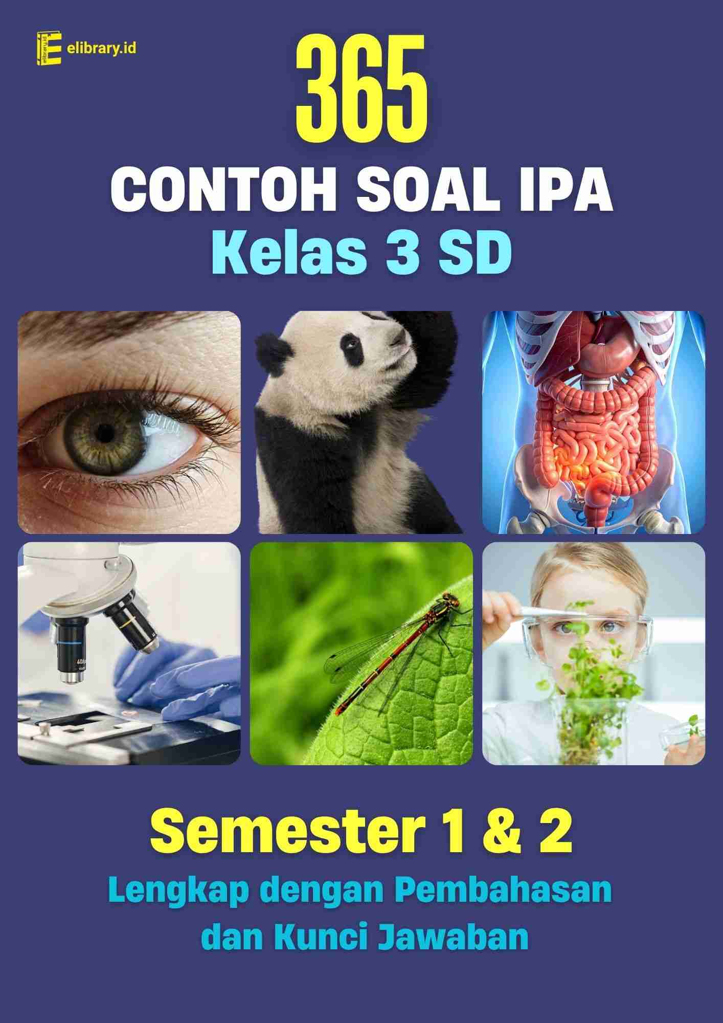 Rahasia Nilai Sempurna dengan 30 Bank Soal IPA Kelas 3 SD Semester 1 yang Wajib Dicoba