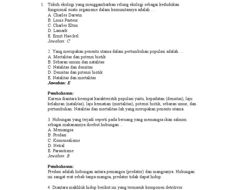 5 Contoh Soal Essay HOTS untuk SD Kelas 4 yang Wajib Dikuasai Sebelum Ujian 2026