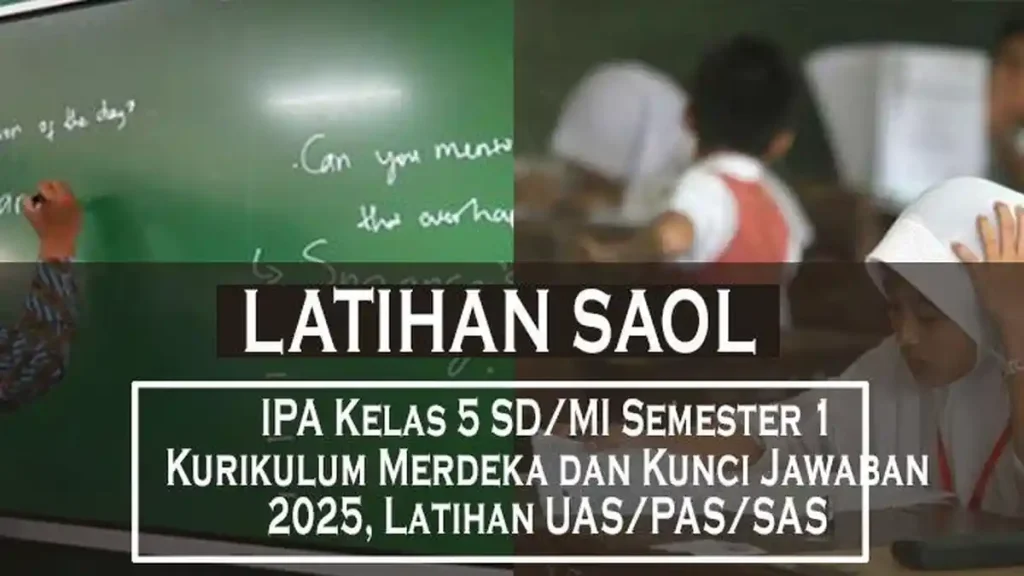 5 Fakta Mengejutkan Bank Soal IPA Kelas 5 Semester 1 dan Kunci Jawaban untuk Hadapi STS 2026